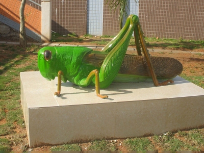蝗蟲(chóng)模型