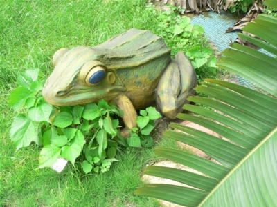 青蛙