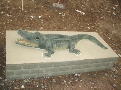 鱷魚(yú)